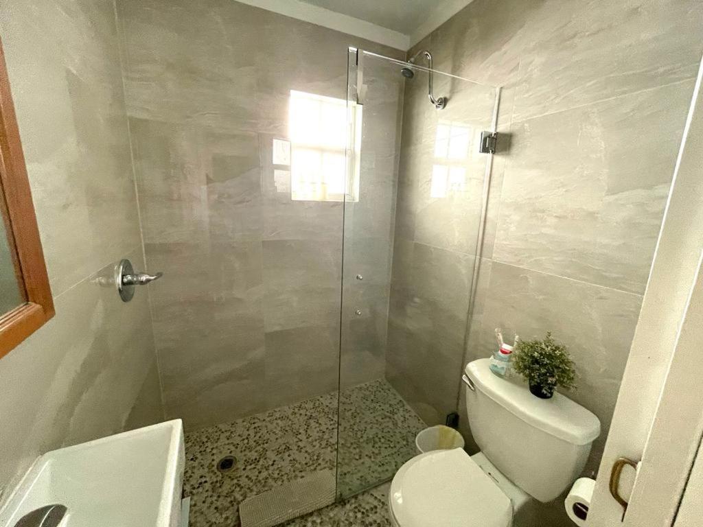 Cozy Room In The Heart Of Little Havana ميامي المظهر الخارجي الصورة